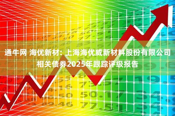 通牛网 海优新材: 上海海优威新材料股份有限公司相关债券2025年跟踪评级报告