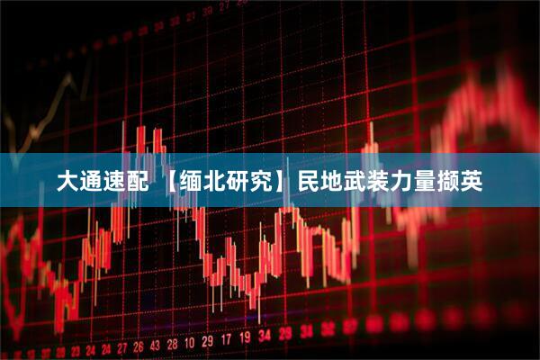 大通速配 【缅北研究】民地武装力量撷英