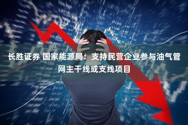 长胜证券 国家能源局：支持民营企业参与油气管网主干线或支线项目