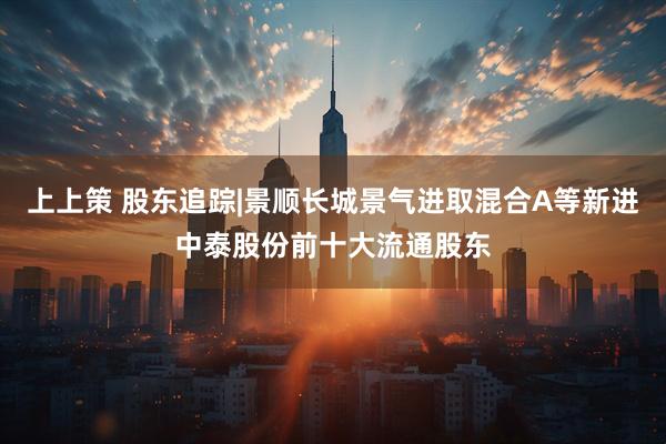 上上策 股东追踪|景顺长城景气进取混合A等新进中泰股份前十大流通股东
